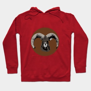 Goat is watching you Hoodie